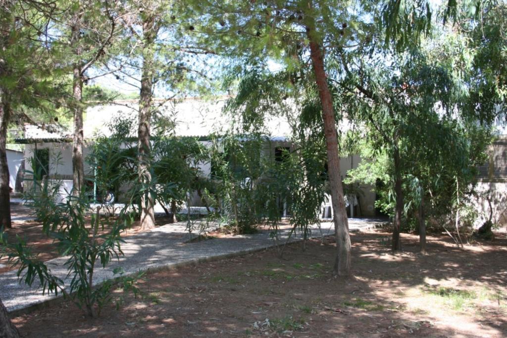 Villaggio Sabbiadoro Vieste Exterior photo